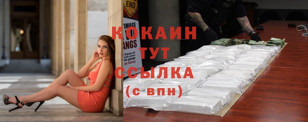 гидра Ельня