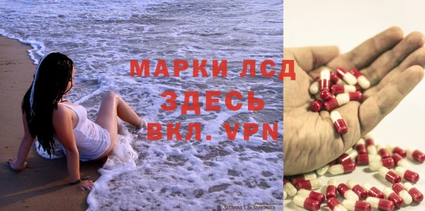 гидра Ельня
