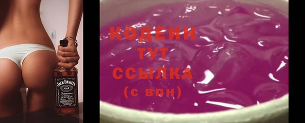 гидра Ельня