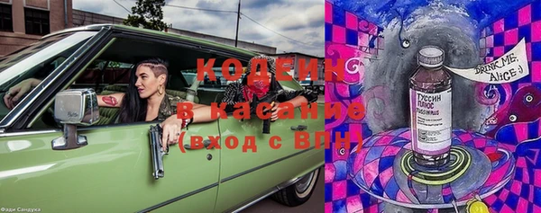 гидра Ельня