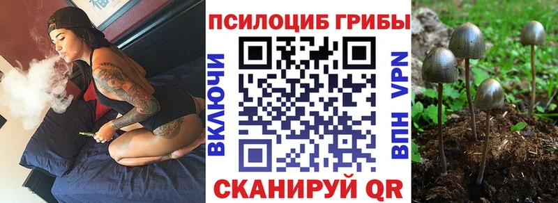 Псилоцибиновые грибы MAGIC MUSHROOMS  Электроугли 